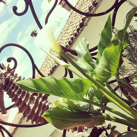 La Gatera Locanda 3*